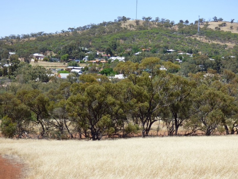 Lot 9010 Drummond Street, Toodyay WA 6566