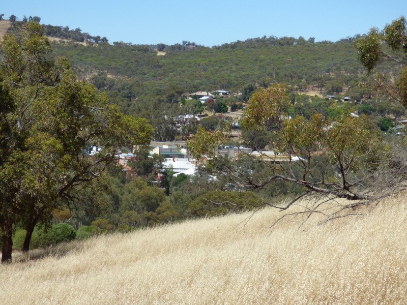 Lot 9010 Drummond Street, Toodyay WA 6566