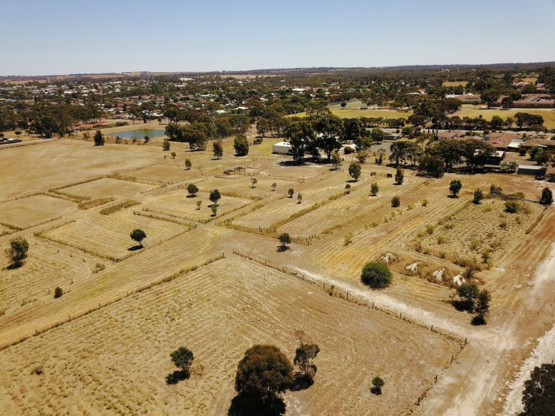 Lot 8 Round Drive, Katanning WA 6317