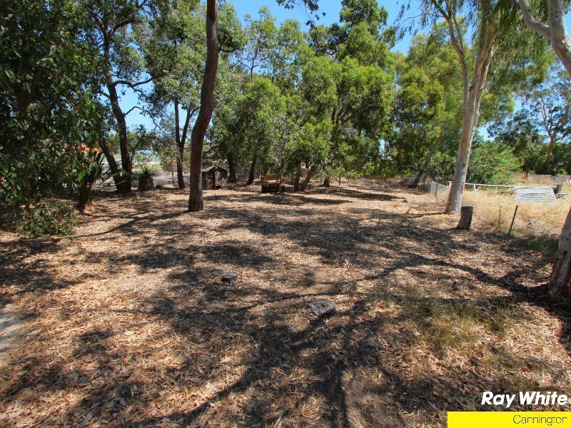 73 Luyer Avenue, East Cannington WA 6107