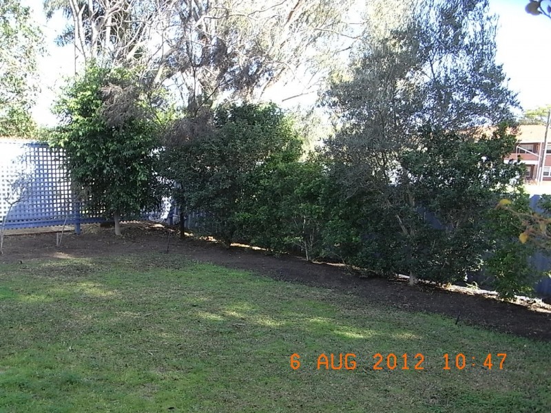 52A Alexandra Place, Bentley WA 6102