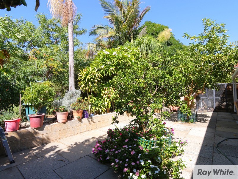 14 Wilpon Street, Beckenham WA 6107