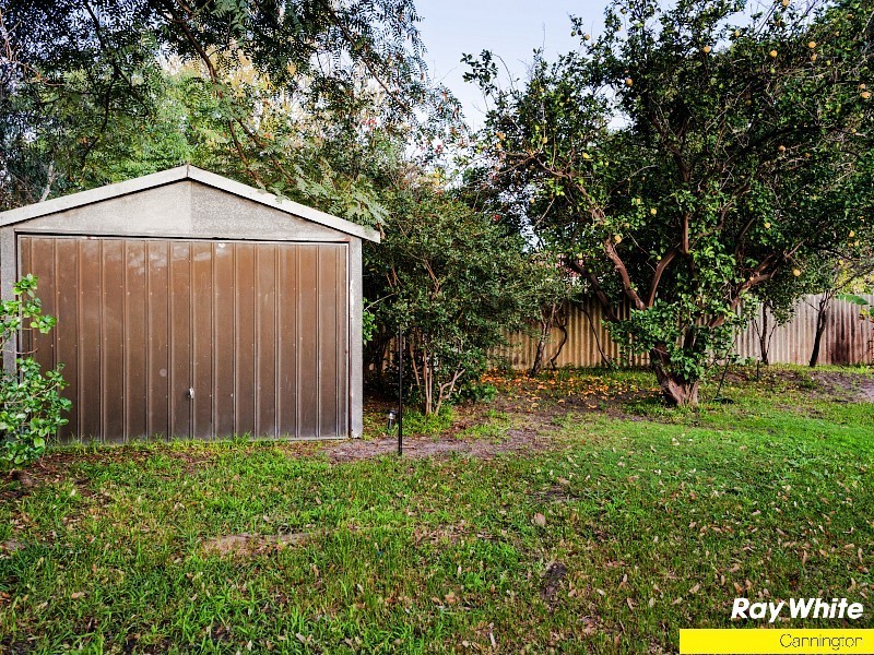 6 Alexandra Place, Bentley WA 6102
