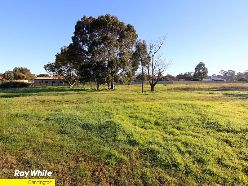 31 Dellar Road, Maddington WA 6109
