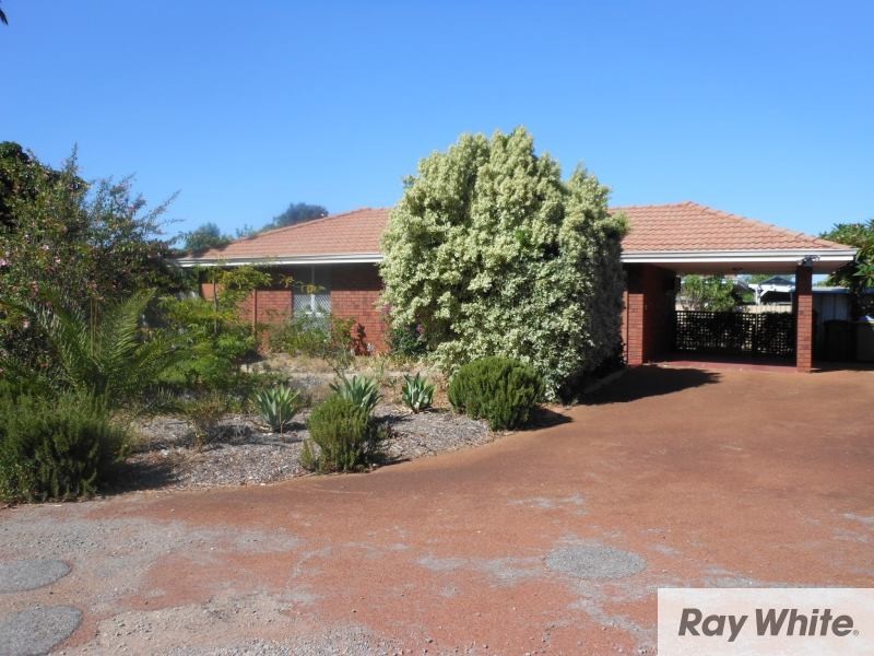 1/33 Leach Highway, Wilson WA 6107