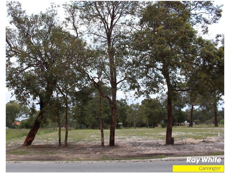 67 Luyer Avenue, East Cannington WA 6107