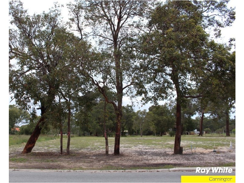 67 Luyer Avenue, East Cannington WA 6107