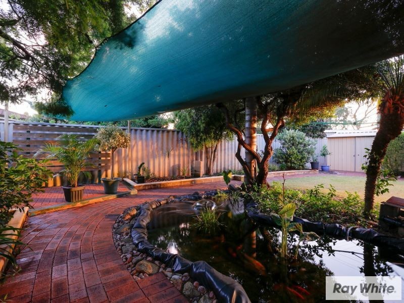 5 Spagnolo Place, Beckenham WA 6107