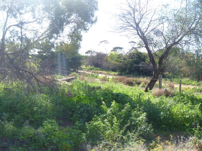 . Oaklands Corner Road, Kadina SA 5554