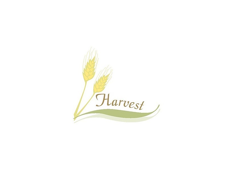 6  Inglis Street, Kadina SA 5554