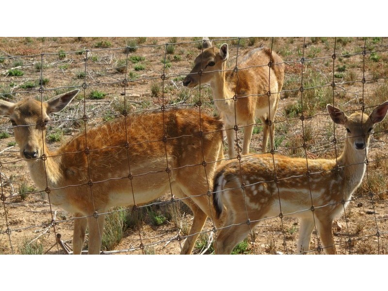 1 Tern Court, North Beach SA 5556