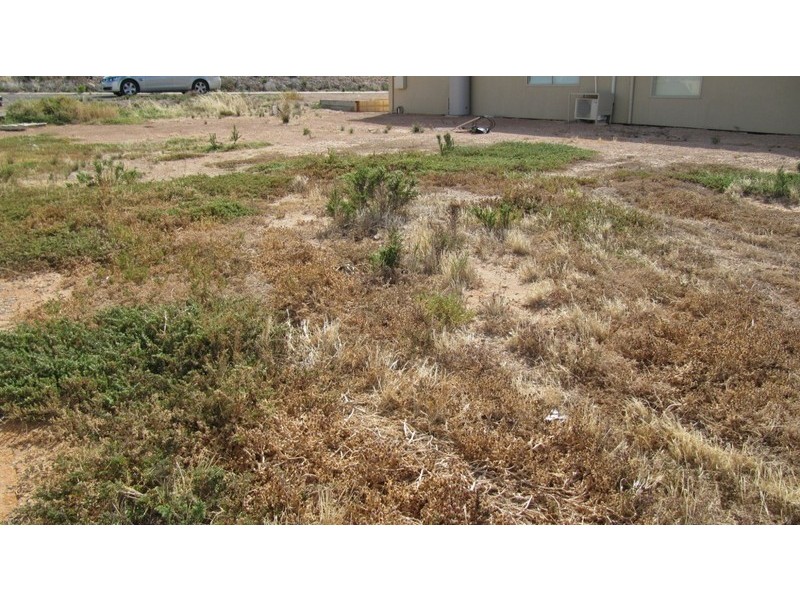 1 Tern Court, North Beach SA 5556