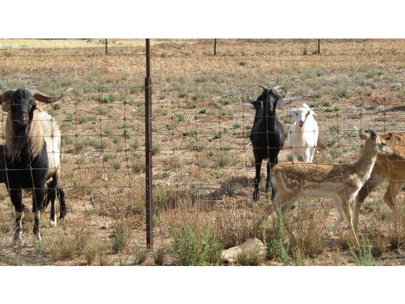 1 Tern Court, North Beach SA 5556