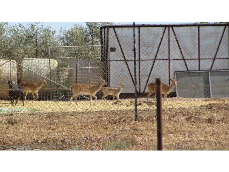 1 Tern Court, North Beach SA 5556