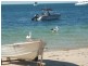 Shack 32 Black Point Drive, Black Point SA 5571