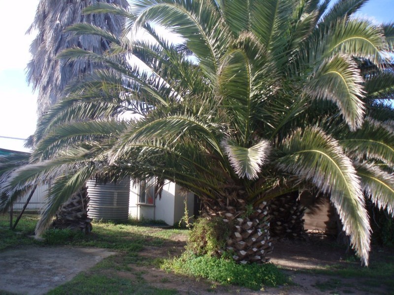 7 Bayview Parade, North Beach SA 5556