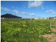 Lot 23 Wall Road, Wallaroo SA 5556