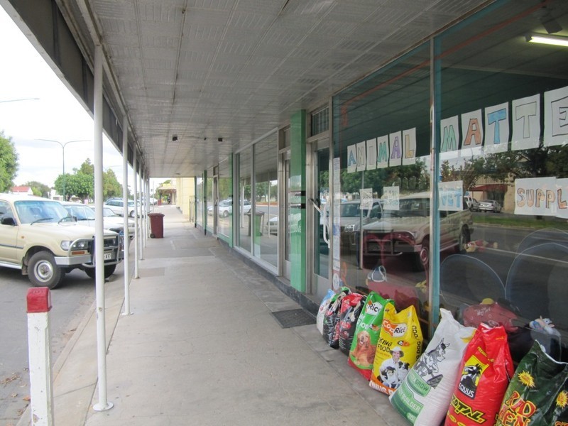 49-55 Main Street, Minlaton SA 5575