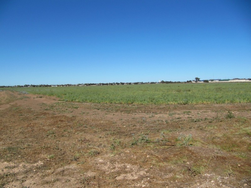 Wallaroo SA 5556