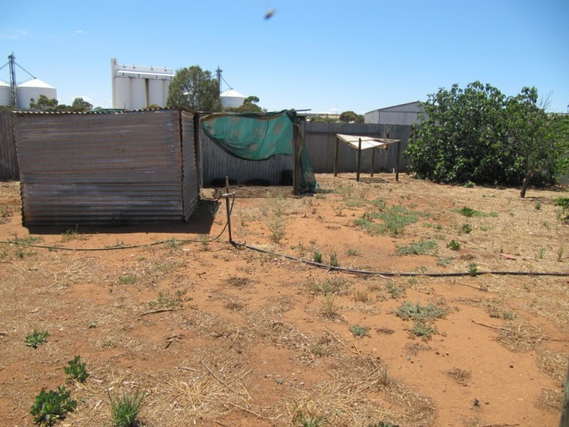 2 Whittier Street, Crystal Brook SA 5523