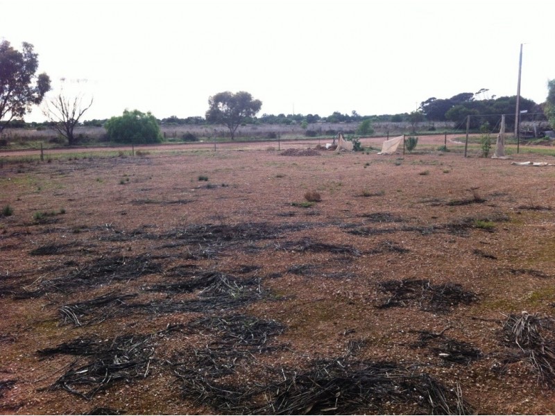 36 Copper Lane, Jericho SA 5554