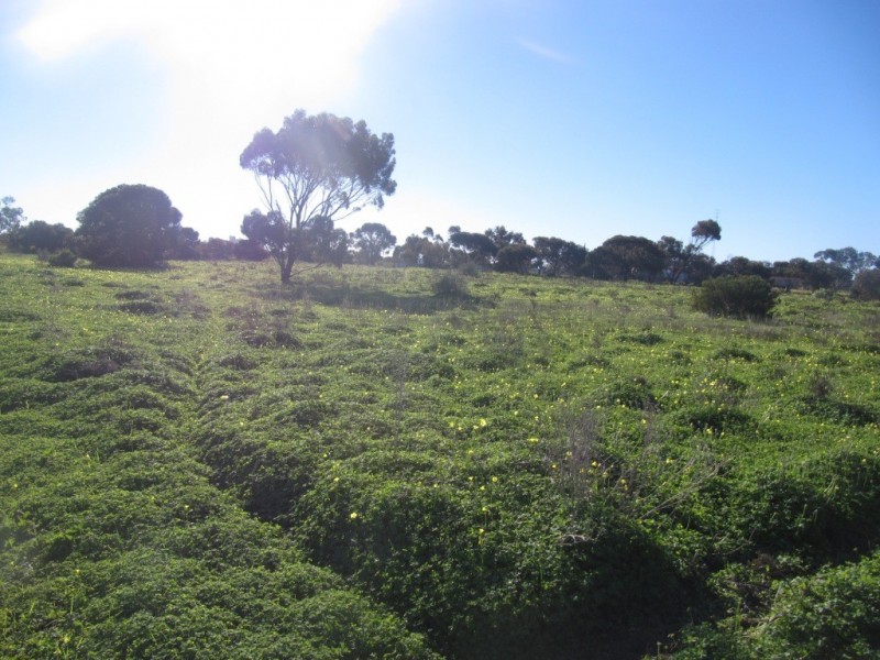 856 magazine Road, Wallaroo SA 5556