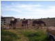 Sec 760 Kadina Road, Wallaroo SA 5556