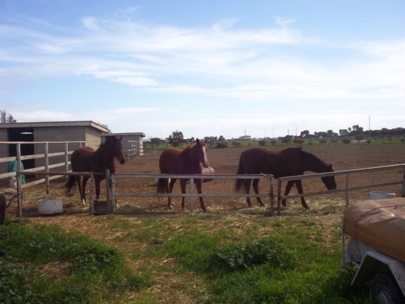 Sec 760 Kadina Road, Wallaroo SA 5556