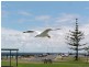 Lot 32 Trenerry Place, Port Hughes SA 5558