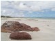 Lot 32 Trenerry Place, Port Hughes SA 5558