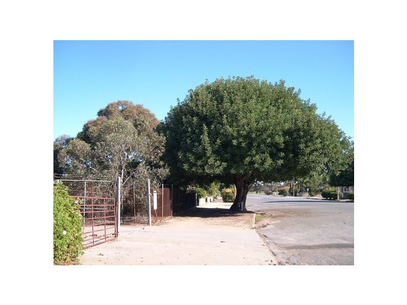 20 Samuel Street, Maitland SA 5573