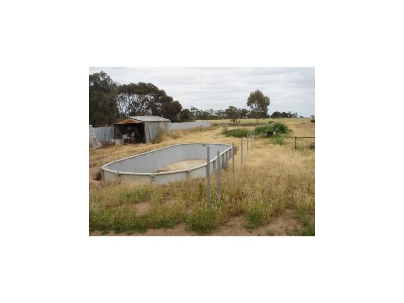 3 Park Terrace, Bute SA 5560