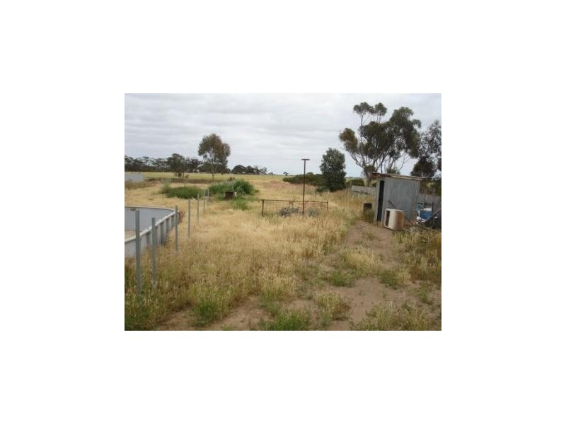 3 Park Terrace, Bute SA 5560