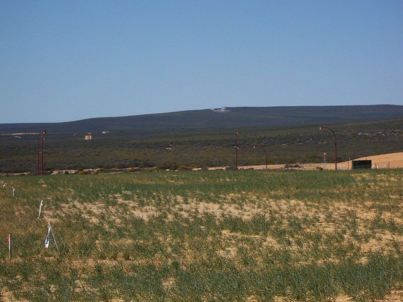 15 Lot 232 Waitzia Way, Kalbarri WA 6536