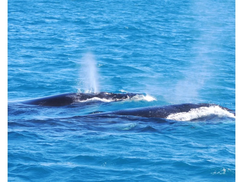 137 Lot 282 Stiles Road, Kalbarri WA 6536