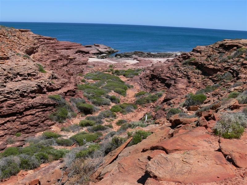 2/24 Hasleby Street, Kalbarri WA 6536