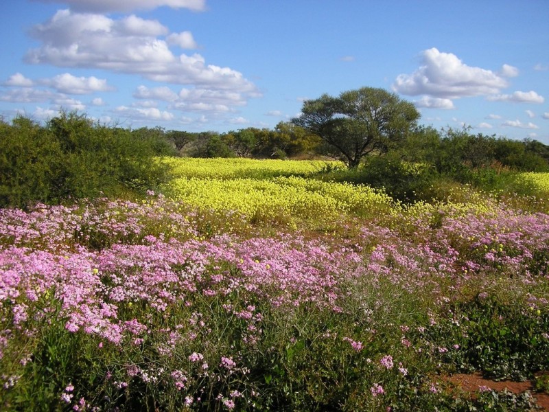 Kalbarri Taxi Cabs, Kalbarri WA 6536
