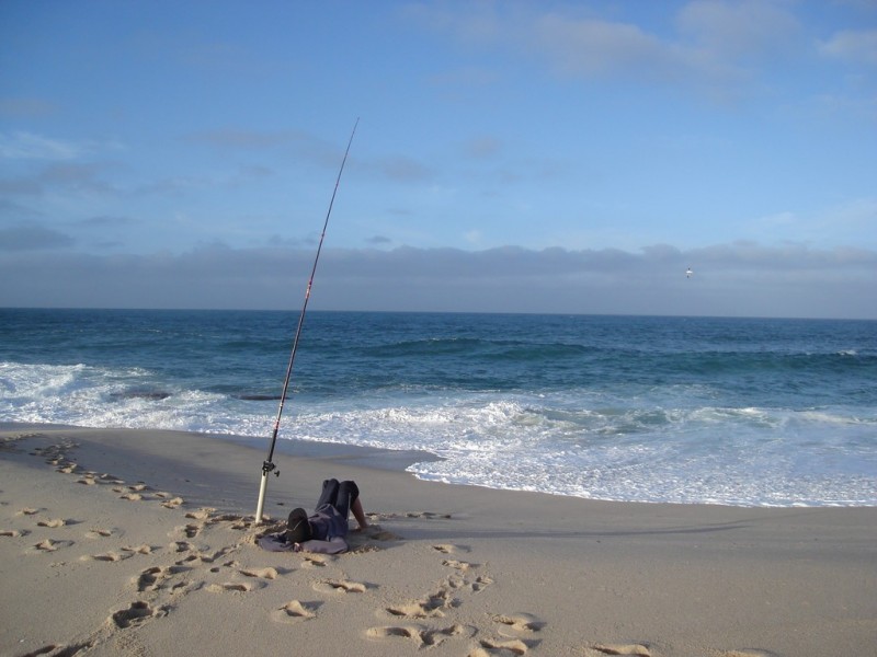 Kalbarri Taxi Cabs, Kalbarri WA 6536