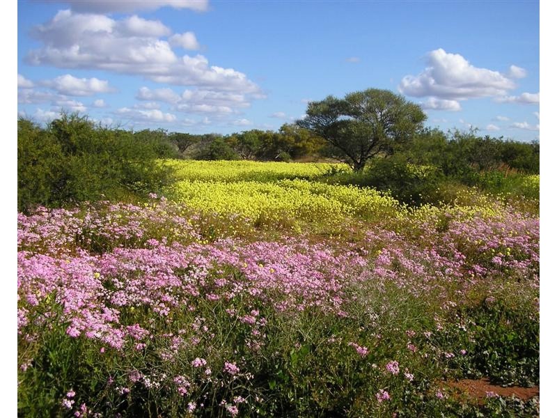 40 Lot 143 Lawrencia Loop, Kalbarri WA 6536