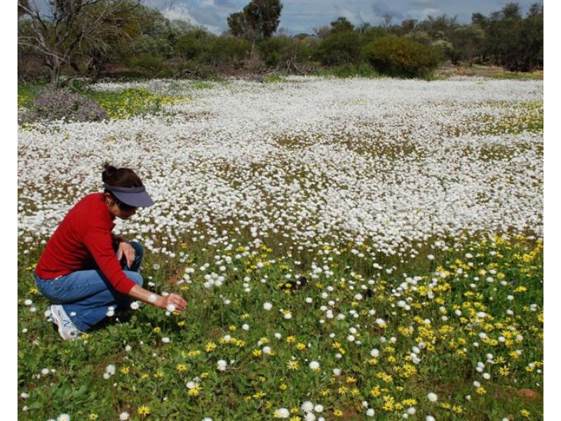 40 Lot 143 Lawrencia Loop, Kalbarri WA 6536