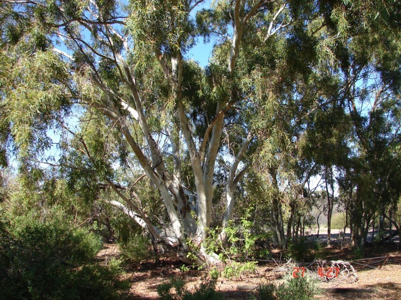 8/6322 Ajana-Kalbarri Road, Kalbarri WA 6536