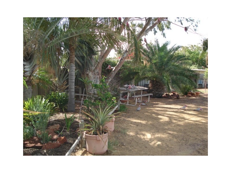 14 Patrick Crescent, Kalbarri WA 6536