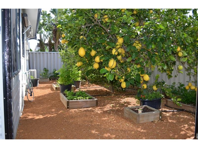 29 Crocos Circuit, Kalbarri WA 6536