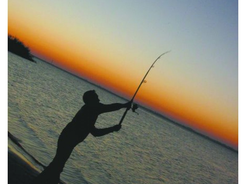 32 Lot 159 Centrolepis Circuit, Kalbarri WA 6536