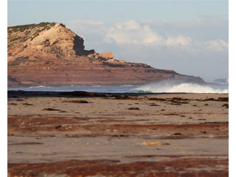 32 Lot 159 Centrolepis Circuit, Kalbarri WA 6536