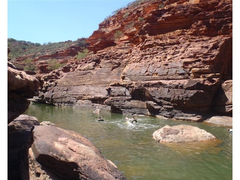 32 Lot 159 Centrolepis Circuit, Kalbarri WA 6536