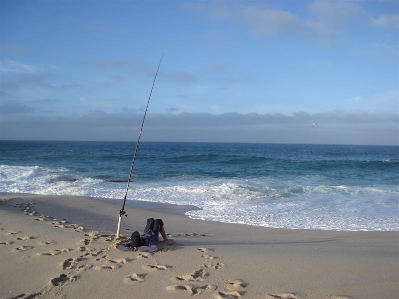 42 Lot 164 Centrolepis Circuit, Kalbarri WA 6536