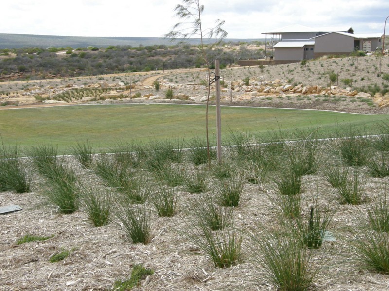 22 Lot 214 Waitzia Way, Kalbarri WA 6536