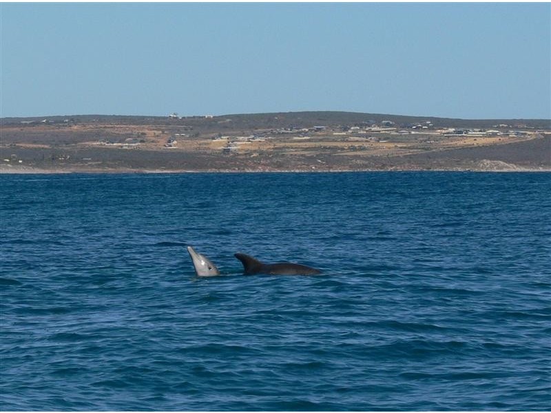 22 Lot 214 Waitzia Way, Kalbarri WA 6536