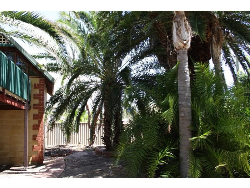 29 Smith Street, Kalbarri WA 6536